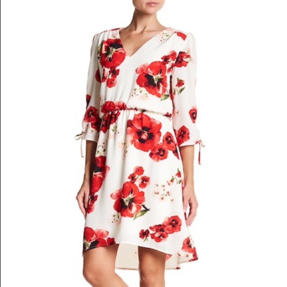 🌟EMBER RUCHE SLEEVE DRESS BRAND NEW🌟